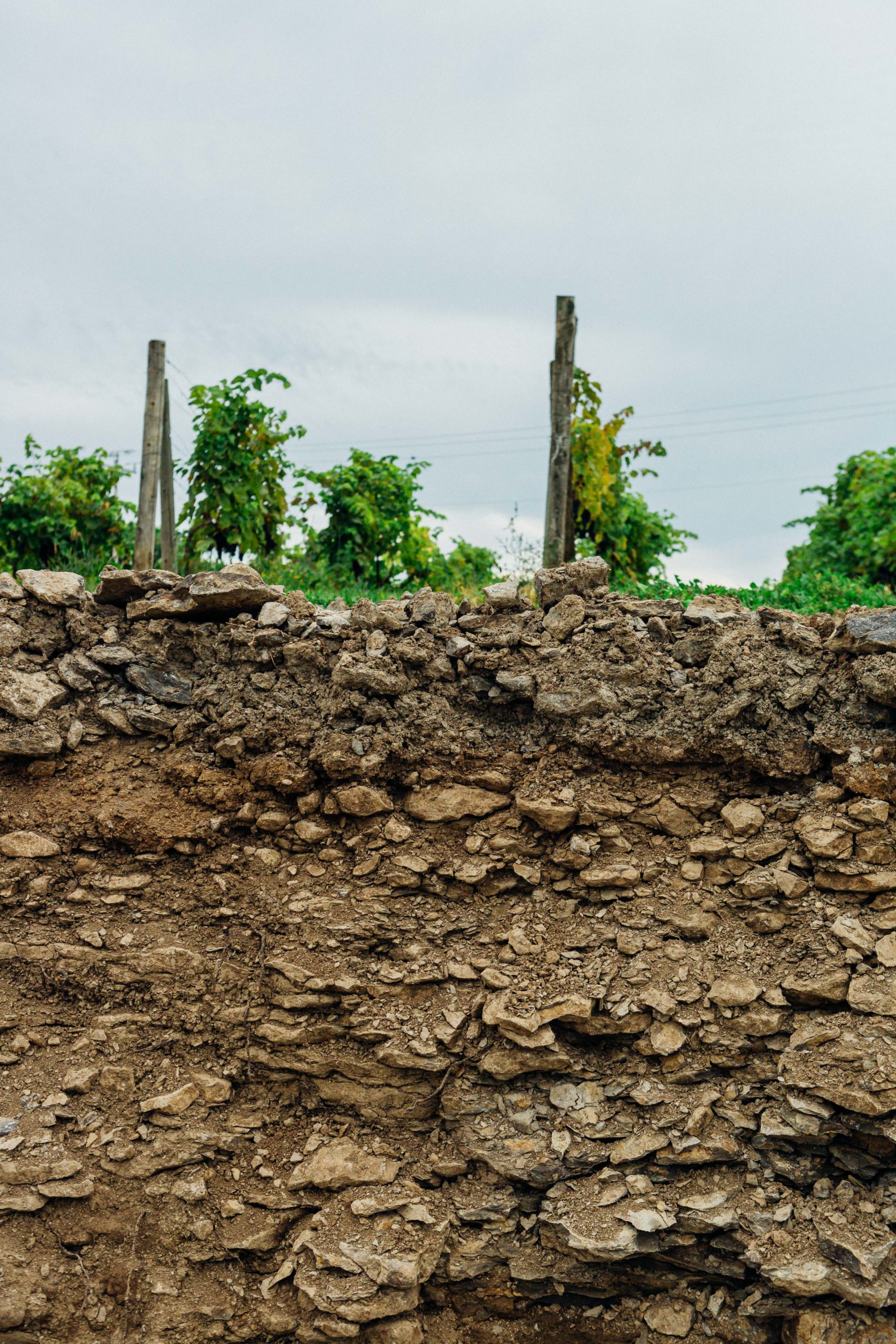 Prince Edward County soil
