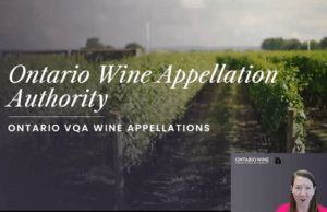 Ontario VQA Wine Appellations Basics: 30-Minute Introductory Course